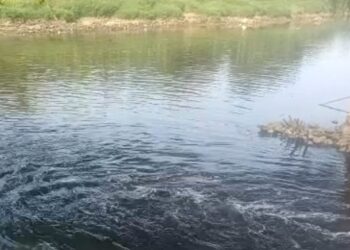 DLHK Banten Temukan Sumber Sungai Cisadane Berubah Hitam, Andra Soni Minta Ditindak Tegas