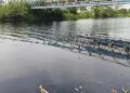 TERCEMAR : Sungai Ciujung di Kabupaten Serang, tercemar limbah perusahaan. (DOKUMEN/SATELIT NEWS.COM)